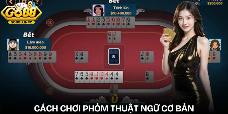 cach-choi-phom-thuat-ngu