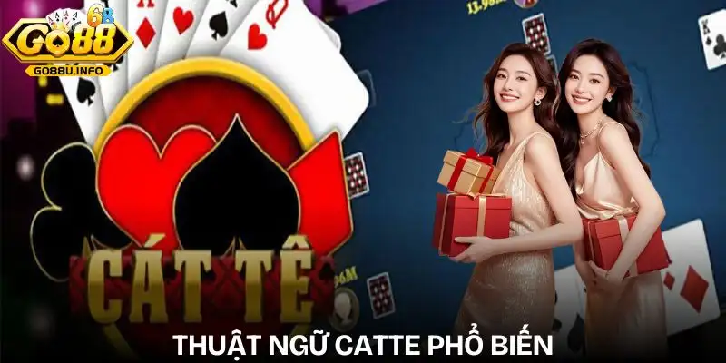 catte-cac-thuat-ngu