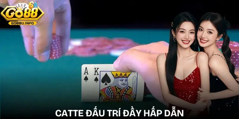 catte-nguon-goc-va-suc-hap-dan