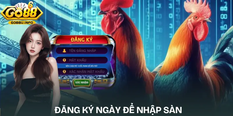 da-ga-cua-dao-huong-dan