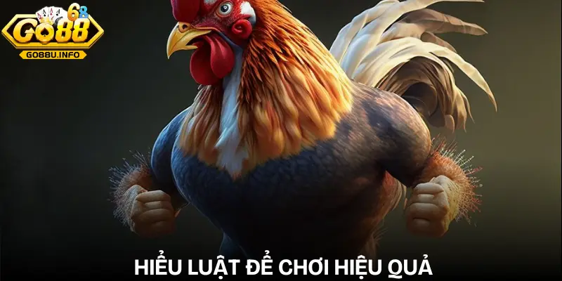 da-ga-cua-dao-luat-da-ga