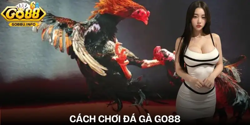 da-ga-go88-chi-tiet-cach-choi