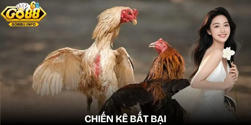 da-ga-go88-dau-truong-cua-nhung-chien-ke-bat-bai
