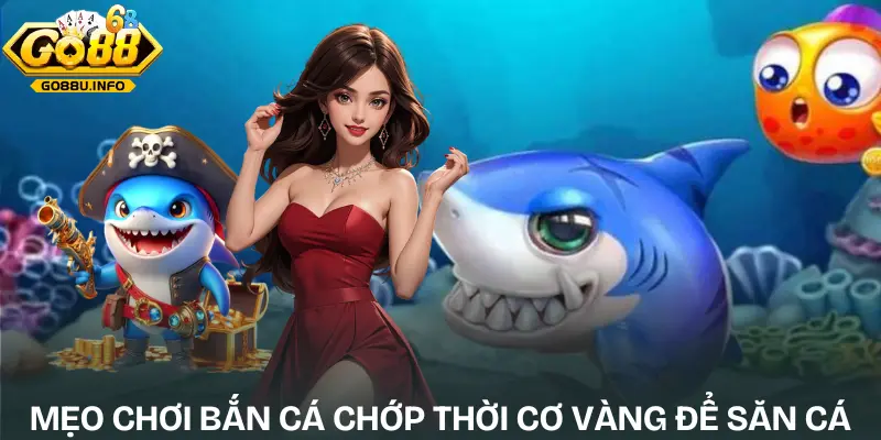 meo-choi-ban-ca-meo-chop-thoi-co