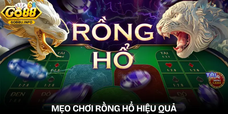 meo-choi-rong-ho-gioi-thieu