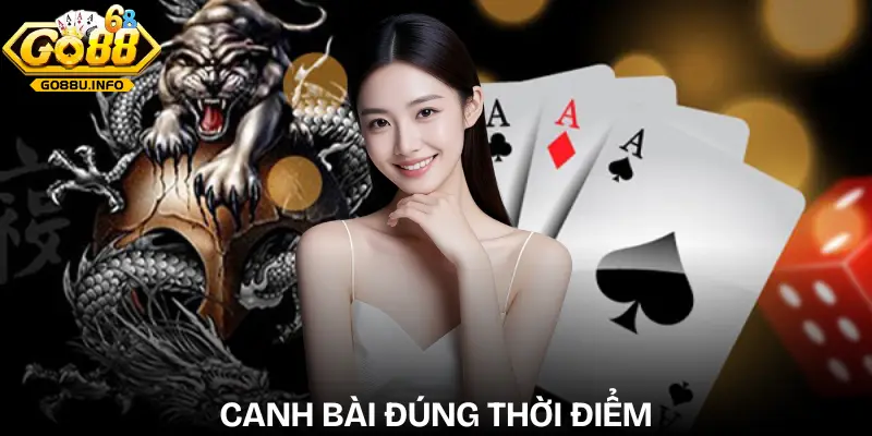 meo-choi-rong-ho-quan-sat